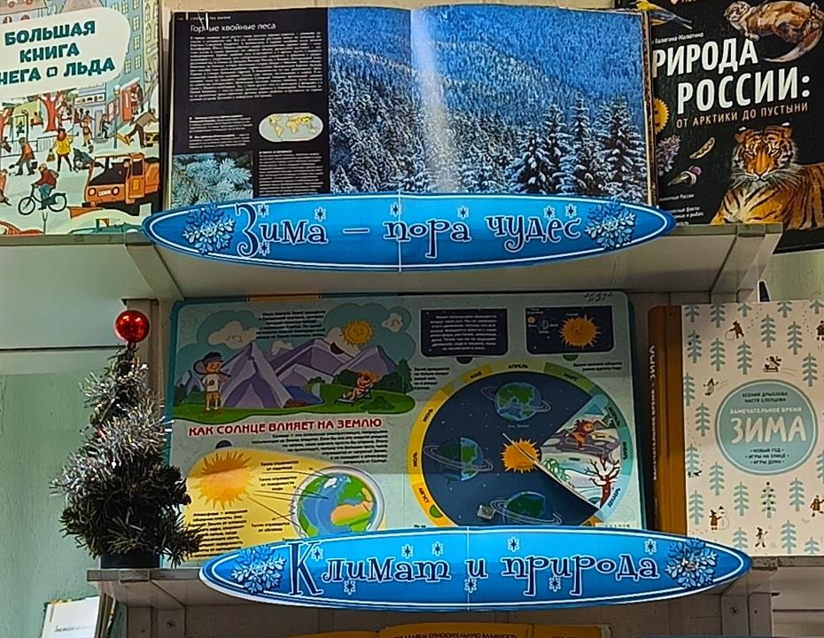 Книжная выставка «Люблю тебя, природа, в любое время года»