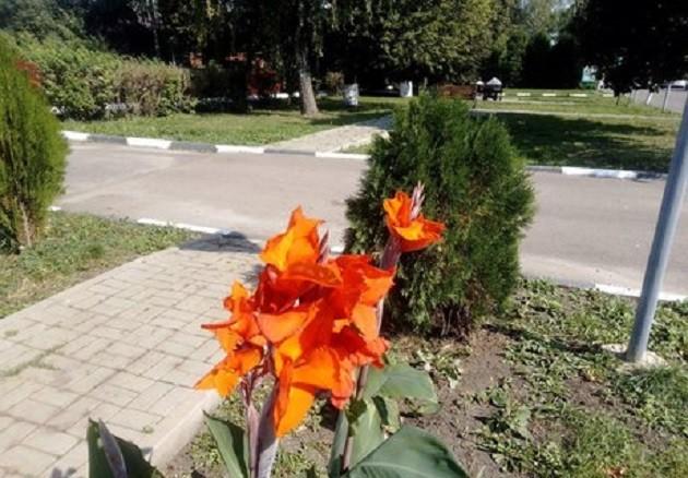 «История родного края»