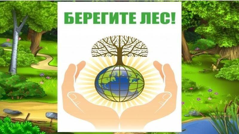 Береги лес!». Интеллектуальная игра, посвящённая Дню работников леса.