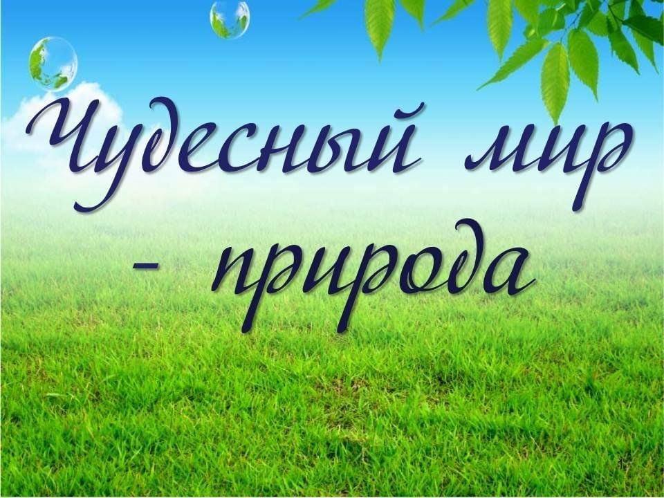 «Чудесный мир — природа»–экологический час