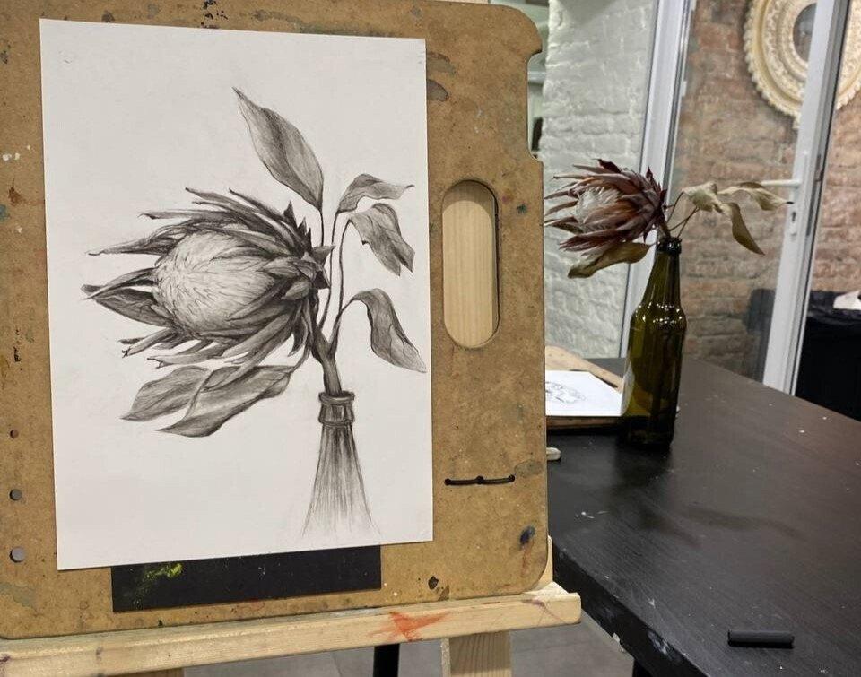 Курс Основы рисунка от Художественной студии Artista