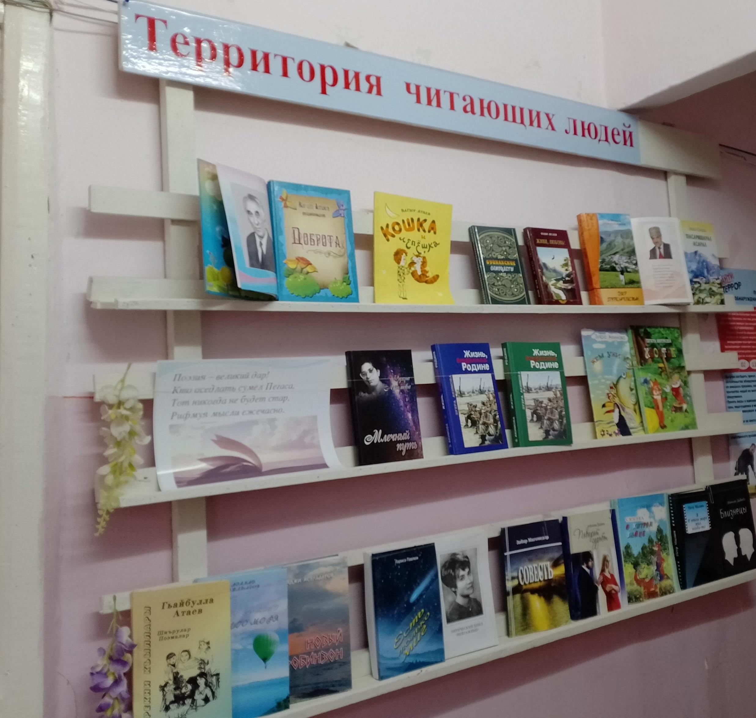 Книжная выставка «Территория читающих книг»