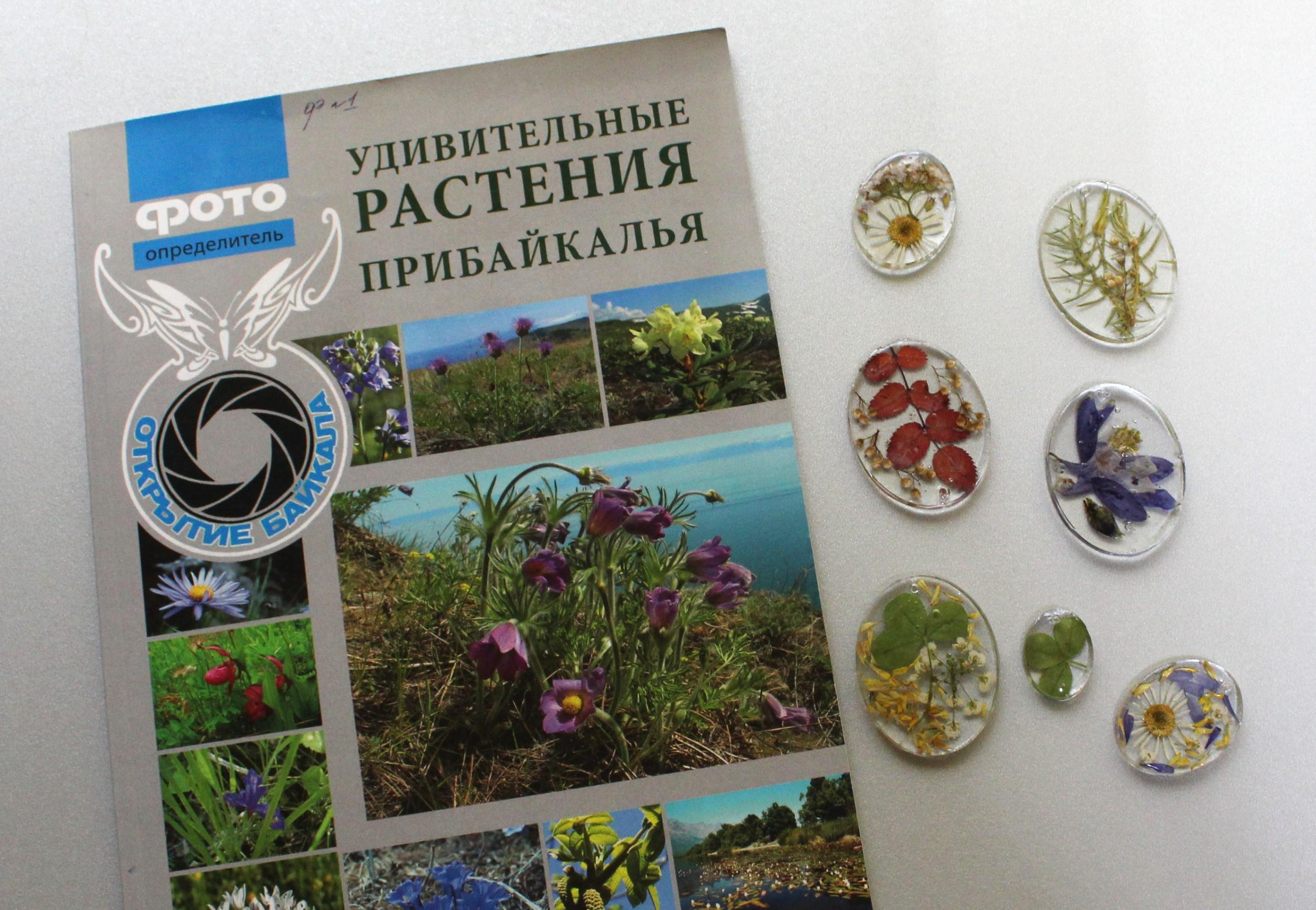 Мастер-класс «Родной край в одном кулоне»