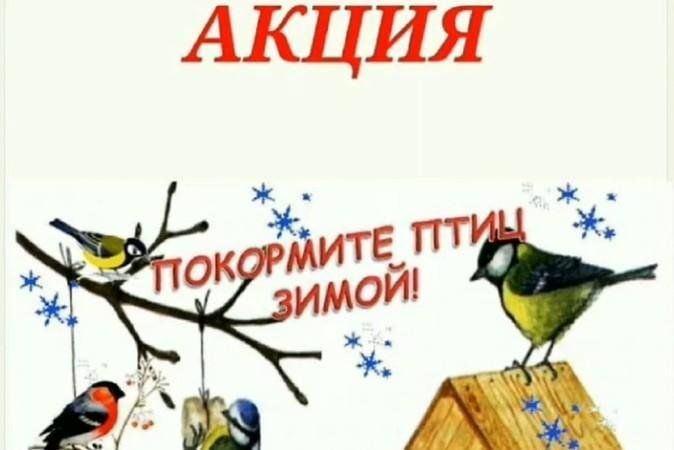 Акция «Покормите поскорей наших маленьких друзей»
